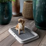 Mokomasis tualetas šunims Puppy Trainer - Image 2