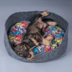 Guolis Amiplay 2 in 1 Oval Hygge - Image 3