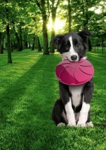 Skraidanti lekštė Superdog - Image 2