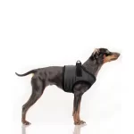 Petnešos Musher - Image 2