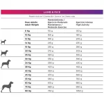 Natura Diet Lamb & Rice sausas maistas šunims 12 kg - Image 2
