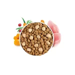 Brit Care Cat Sterilized with Raw Delights sausas maistas katėms 2 kg - Image 2